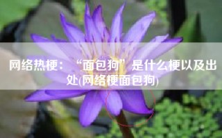 网络热梗：“面包狗”是什么梗以及出处(网络梗面包狗)
