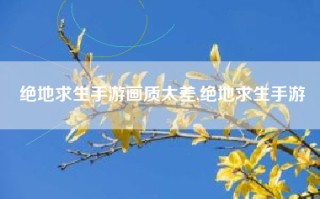 绝地求生手游画质太差,绝地求生手游