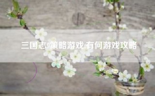 三国志9策略游戏,有何游戏攻略