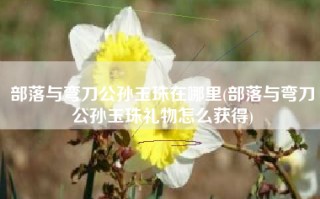 部落与弯刀公孙玉珠在哪里(部落与弯刀公孙玉珠礼物怎么获得)