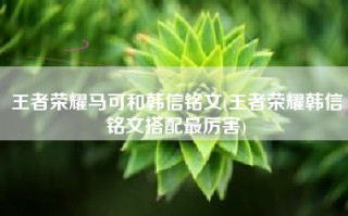 王者荣耀马可和韩信铭文(王者荣耀韩信铭文搭配最厉害)
