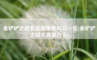金铲铲之战名流加里奥阵容一览(金铲铲之战名流是什么)