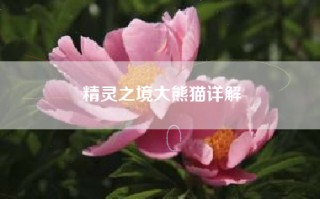 精灵之境大熊猫详解