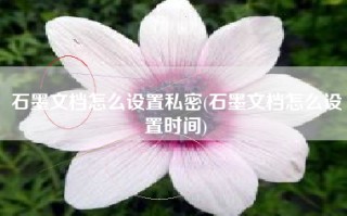 石墨文档怎么设置私密(石墨文档怎么设置时间)