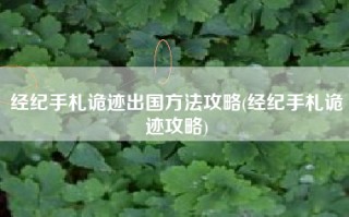 经纪手札诡迹出国方法攻略(经纪手札诡迹攻略)