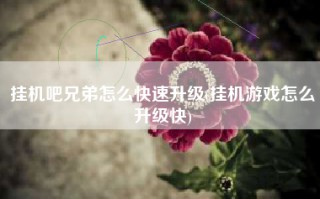 挂机吧兄弟怎么快速升级(挂机游戏怎么升级快)