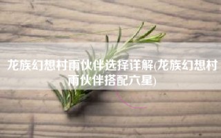 龙族幻想村雨伙伴选择详解(龙族幻想村雨伙伴搭配六星)