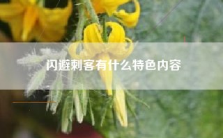 闪避刺客有什么特色内容