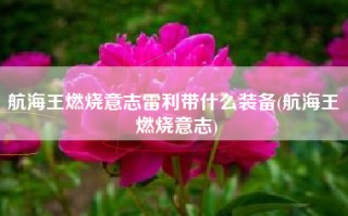 航海王燃烧意志雷利带什么装备(航海王 燃烧意志)