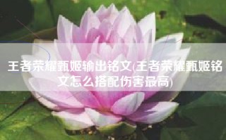 王者荣耀甄姬输出铭文(王者荣耀甄姬铭文怎么搭配伤害最高)
