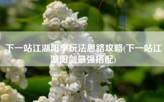 下一站江湖阳拳玩法思路攻略(下一站江湖阳剑最强搭配)