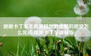 跑跑卡丁车手游黑妞想看企鹅的愿望怎么完成(跑跑卡丁车破解版)