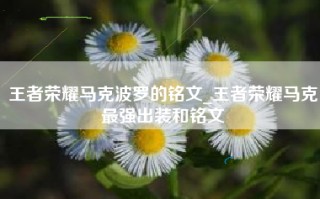 王者荣耀马克波罗的铭文_王者荣耀马克最强出装和铭文