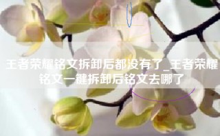 王者荣耀铭文拆卸后都没有了_王者荣耀铭文一键拆卸后铭文去哪了