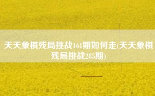 天天象棋残局挑战161期如何走(天天象棋残局挑战285期)