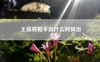 王侯将相手游什么时候出