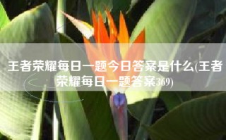 王者荣耀每日一题今日答案是什么(王者荣耀每日一题答案369)