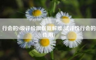 行会的S级评价跟崭新解难(试评价行会的作用)