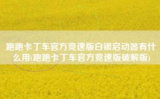 跑跑卡丁车官方竞速版白银启动器有什么用(跑跑卡丁车官方竞速版破解版)