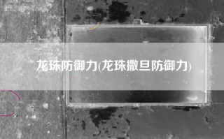龙珠防御力(龙珠撒旦防御力)