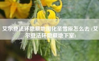 艾尔登法环隐藏地图化圣雪原怎么去 (艾尔登法环隐藏地下室)