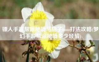 镖人手游帮派秘境马胡子boss打法攻略(梦幻手游帮派秘境多少经验)
