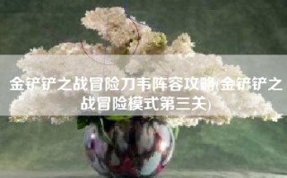 金铲铲之战冒险刀韦阵容攻略(金铲铲之战冒险模式第三关)