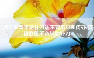 英雄联盟手游补刀达不到英雄如何办(英雄联盟手游辅助补刀)