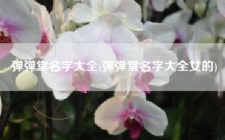 弹弹堂名字大全(弹弹堂名字大全女的)