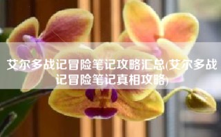 艾尔多战记冒险笔记攻略汇总(艾尔多战记冒险笔记真相攻略)