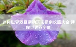迷你世界双旦活动玩法指南攻略大全(迷你世界双字ID)