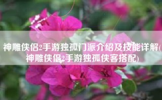 神雕侠侣2手游独孤门派介绍及技能详解(神雕侠侣2手游独孤侠客搭配)