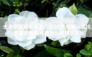 王者荣耀高渐离怎么玩好 高渐离玩法技巧(王者荣耀高渐离怎么出装最厉害)