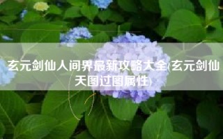 玄元剑仙人间界最新攻略大全(玄元剑仙天图过图属性)