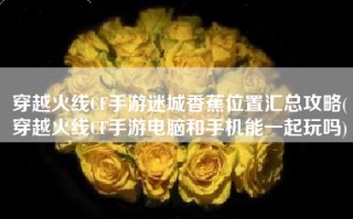 穿越火线CF手游迷城香蕉位置汇总攻略(穿越火线CF手游电脑和手机能一起玩吗)