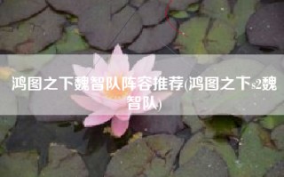 鸿图之下魏智队阵容推荐(鸿图之下s2魏智队)