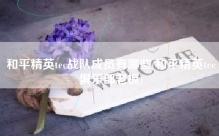 和平精英tec战队成员有哪些(和平精英tec俱乐部老板)