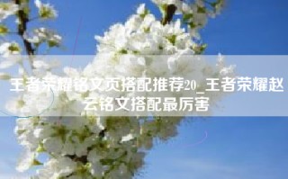 王者荣耀铭文页搭配推荐20_王者荣耀赵云铭文搭配最厉害
