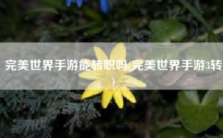 完美世界手游能转职吗(完美世界手游3转)