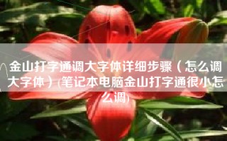 金山打字通调大字体详细步骤（怎么调大字体）(笔记本电脑金山打字通很小怎么调)