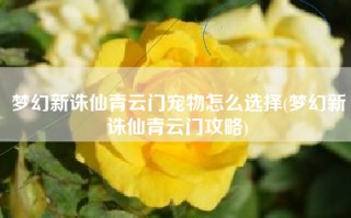 梦幻新诛仙青云门宠物怎么选择(梦幻新诛仙青云门攻略)