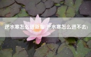 逆水寒怎么进新服(逆水寒怎么进不去)