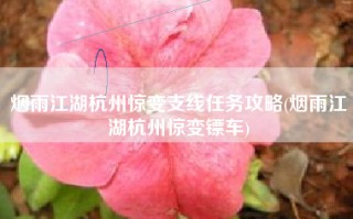烟雨江湖杭州惊变支线任务攻略(烟雨江湖杭州惊变镖车)