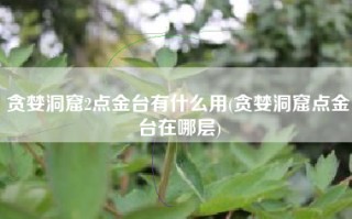 贪婪洞窟2点金台有什么用(贪婪洞窟点金台在哪层)