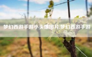 梦幻西游手游小头像图片,梦幻西游手游