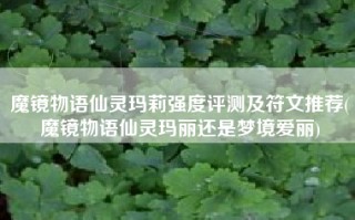 魔镜物语仙灵玛莉强度评测及符文推荐(魔镜物语仙灵玛丽还是梦境爱丽)
