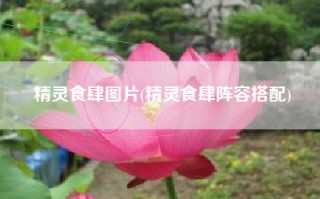精灵食肆图片(精灵食肆阵容搭配)