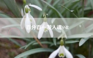 百分百一发入魂SSR