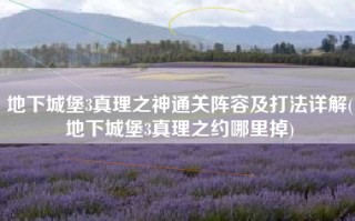 地下城堡3真理之神通关阵容及打法详解(地下城堡3真理之约哪里掉)
