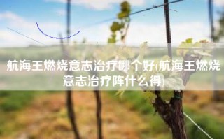 航海王燃烧意志治疗哪个好(航海王燃烧意志治疗阵什么得)